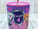 ALCANCIAS DE PLASTICO PERSONALIZADAS VACIAS - Imagen 5