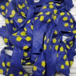 Globos Estampados Pelota de Boca x 10 Unidades