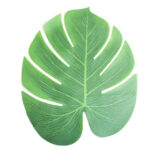 Hojas Monstera de Tela Grande x 5 Unidades. 35 cm.  . Ideal Plato Sitio o Deco con Globos.
