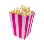 Pochoclera x 8 Rosa con Fucsia