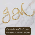 Topper INICIALES SUELTAS 5 cm de Acrilico Espejado Varias Medidas. Colores: Dorado Plateado o GoldRose