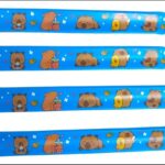 Pulseras CAPYBARA x5 Unidades.