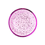Plato Polipapel Violeta  Stamping Estrellas GoldRose  x 8