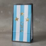 Bolsitas con FUELLE  SELECCION ARGENTINA Copa Estrellas Stamping Dorado x 10 - Imagen 2