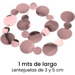 Packs de 10 Tiras de LENTEJUELAS GOLDROSE Para Armar Cortinas o Multiple Uso. - Imagen 3