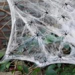 Tela de Araña - Imagen 2